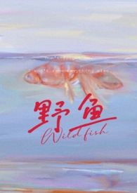 野鱼腥草的功效与作用图片