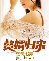 赘婿归来执掌风云评价