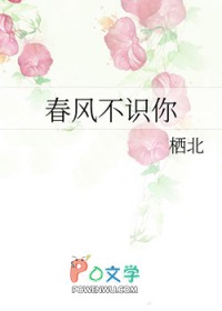 春风不识旧时月人物结局